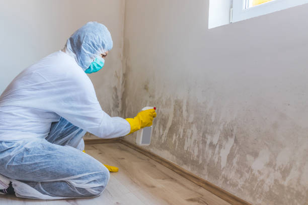 Commercial Mold Remediation assessment for commercial property in Amityville